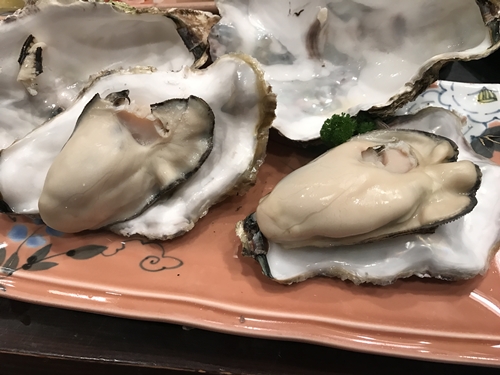 もっと早く知っていればと後悔しちゃうお店　　　　　河太郎