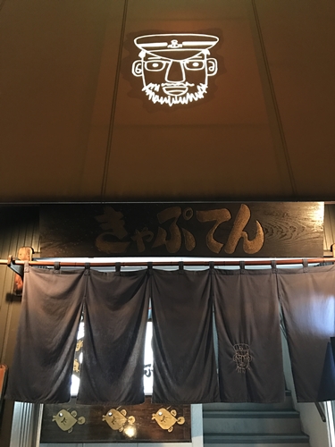 こんなアコウは見たことがない！！！　　　　きゃぷてん