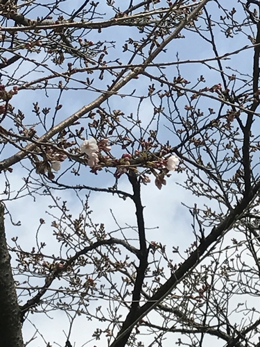 まだもう少しかかりそうですよ～！