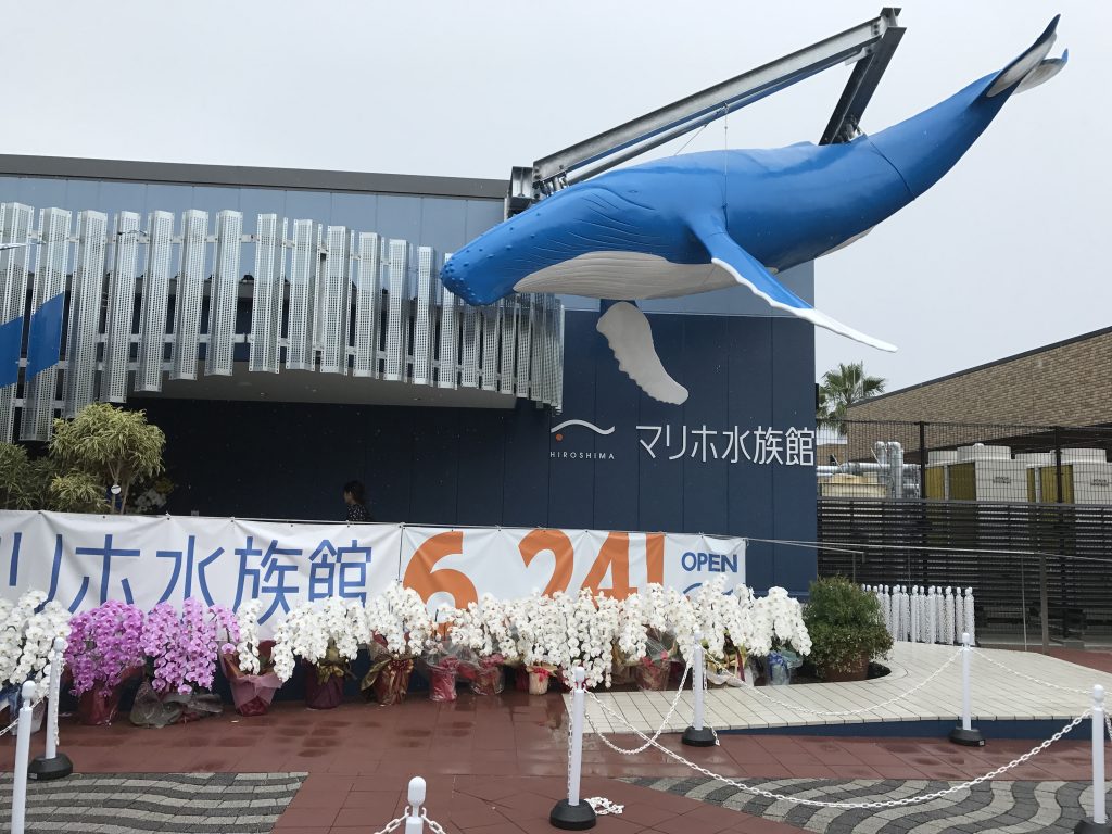 小さいお子様にはぴったりの水族館！　　　　マリホ水族館