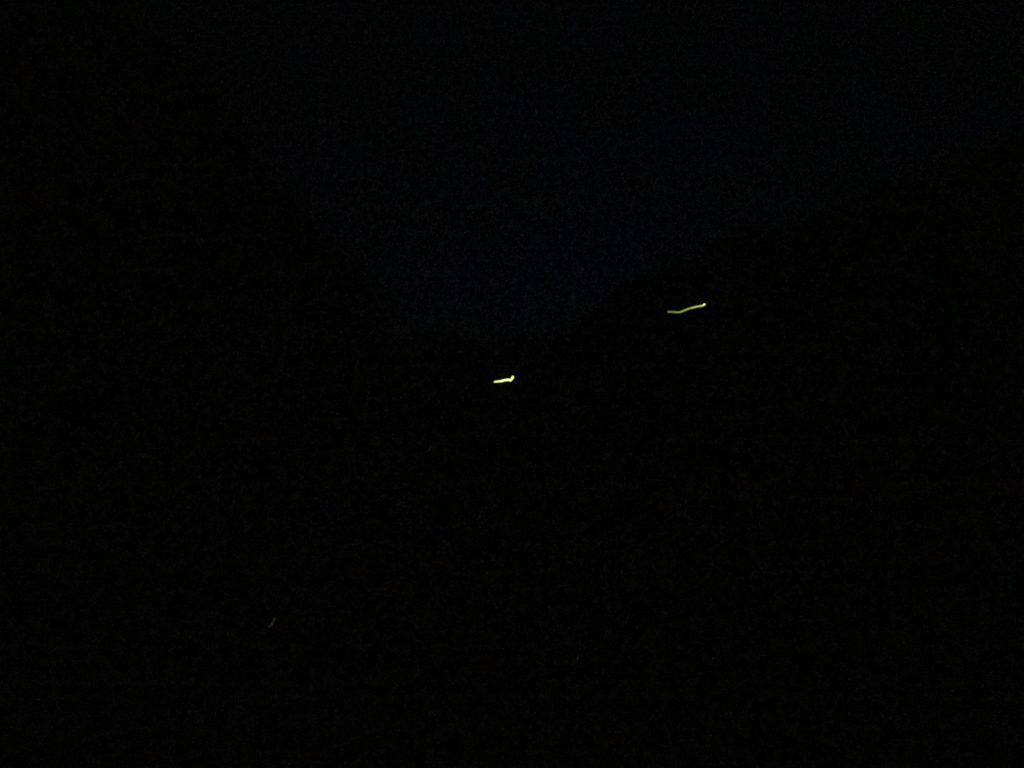 これは完全に広島の宝物です！　　　　　温井ダムホタル祭り