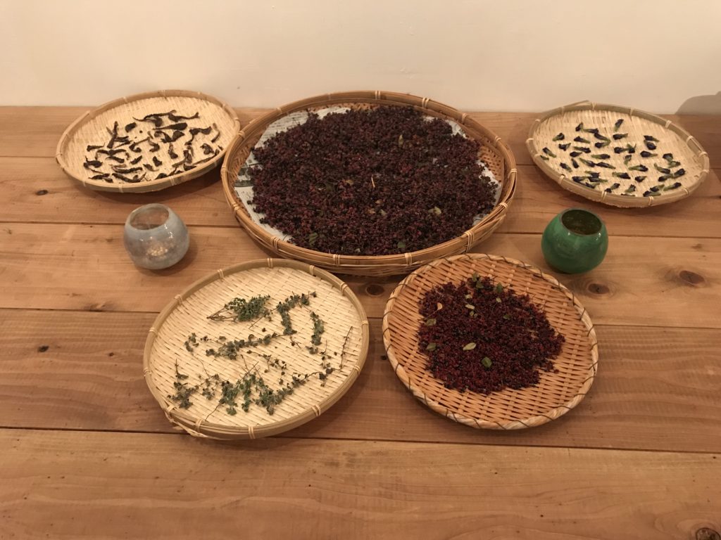 スパイスで日本にいながら東南アジア料理！　　　　　山椒魚