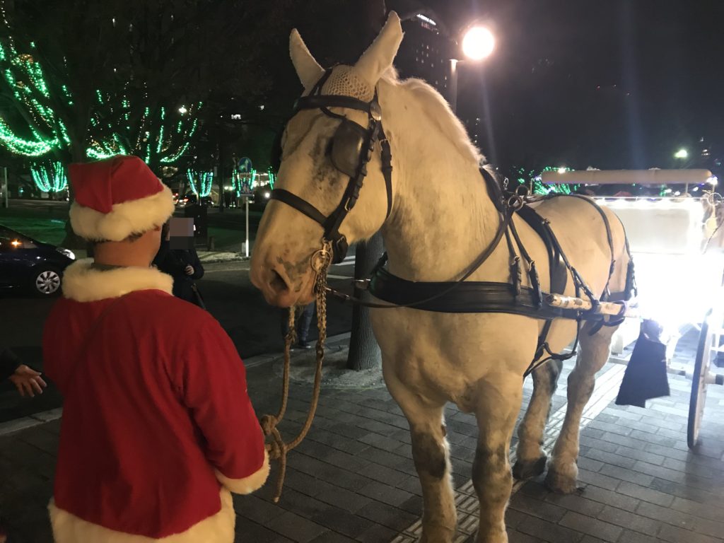 大きなマウリ君が馬車をひいてくれます！　　　　　イポモビル