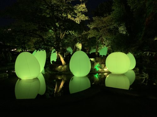 こんな体験初めてでした！　　　　　　チームラボ 広島城 光の祭