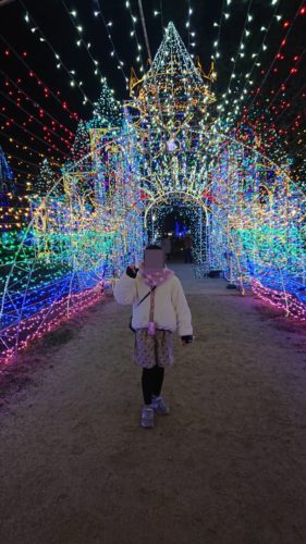 ひろしまドリミネーション２０２０は終了しています。