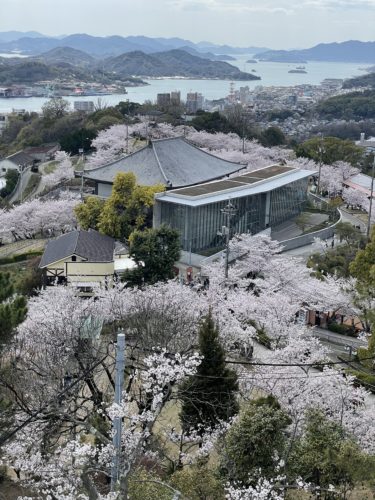 千光寺に新しい展望台ができたそうです！　　　　千光寺