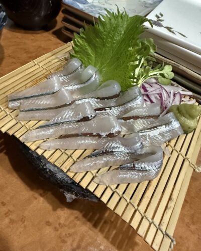 素晴らしいさよりでした！　　　　さざんか